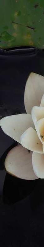 Soft Aluminum Cheese